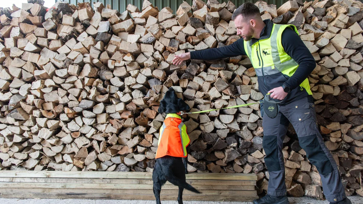 Detection dogs supporting tree disease surveys