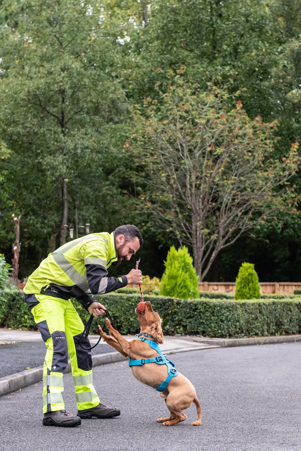 Canine team inspecting a property interior