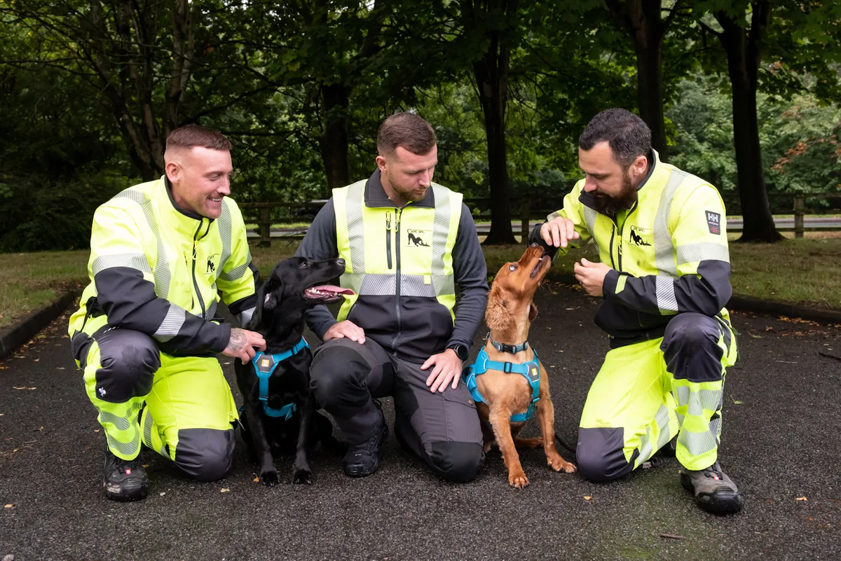 Detection dog on site during a specialist survey