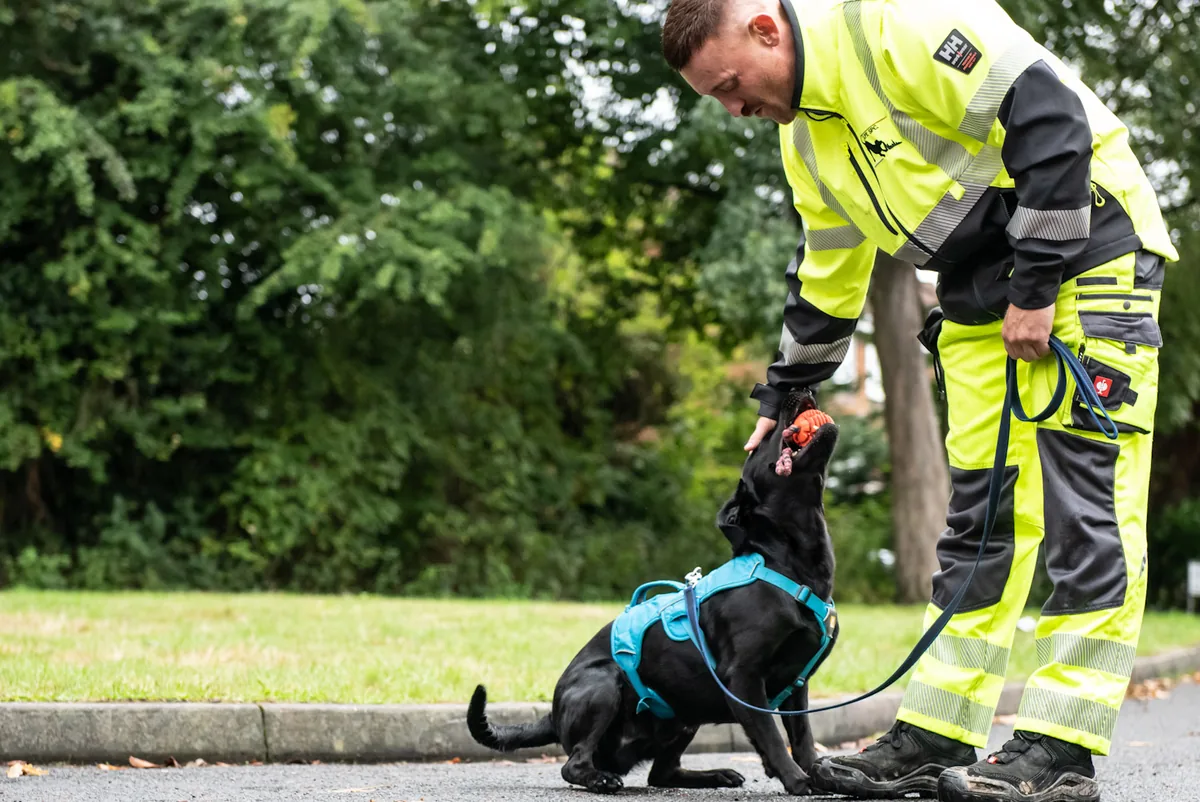 Handler and detection dog working in the field